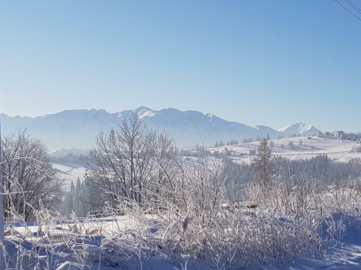 U Szostaka Lägenhet Bańska Exteriör bild